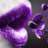 *Purple Baby*